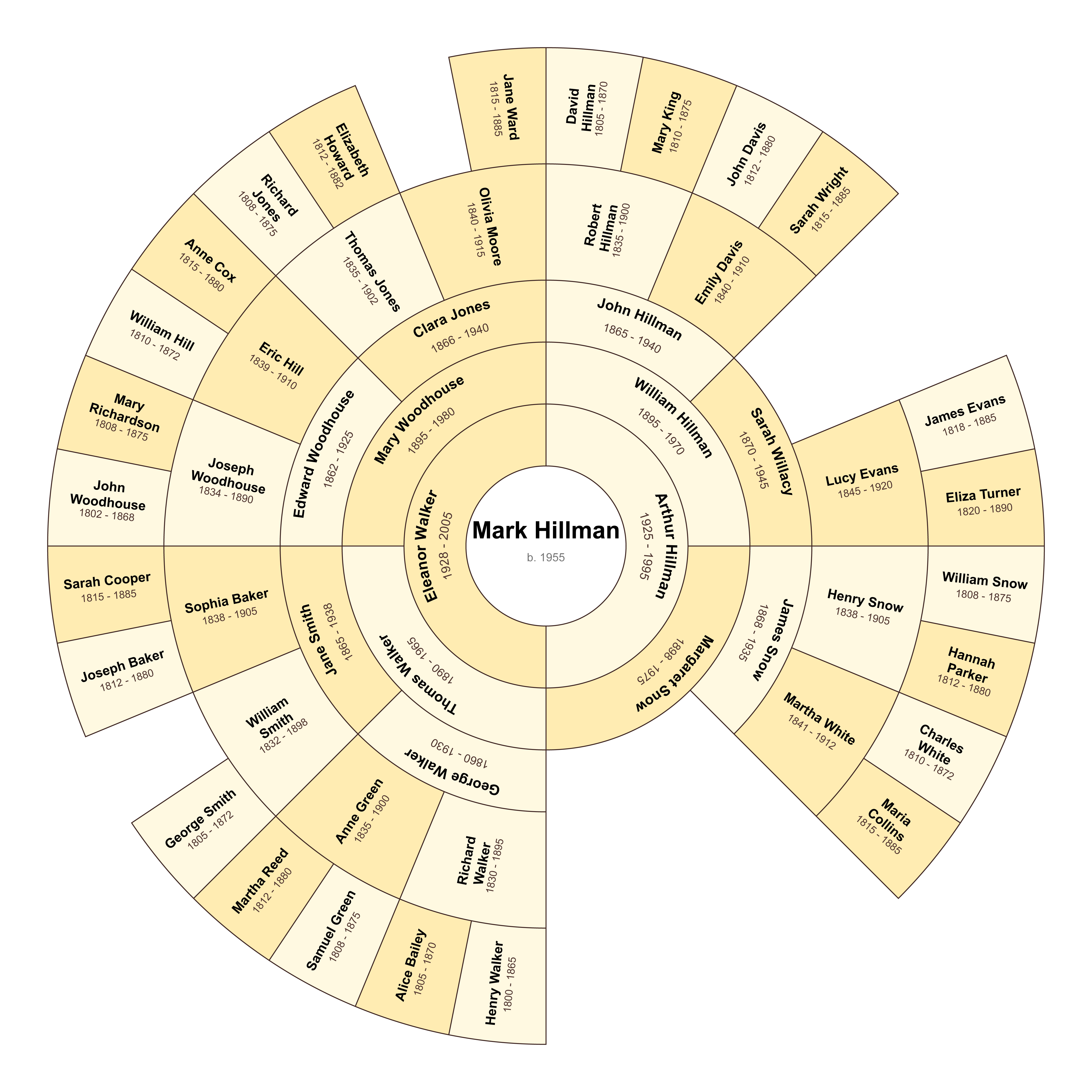 Colour Segment Chart