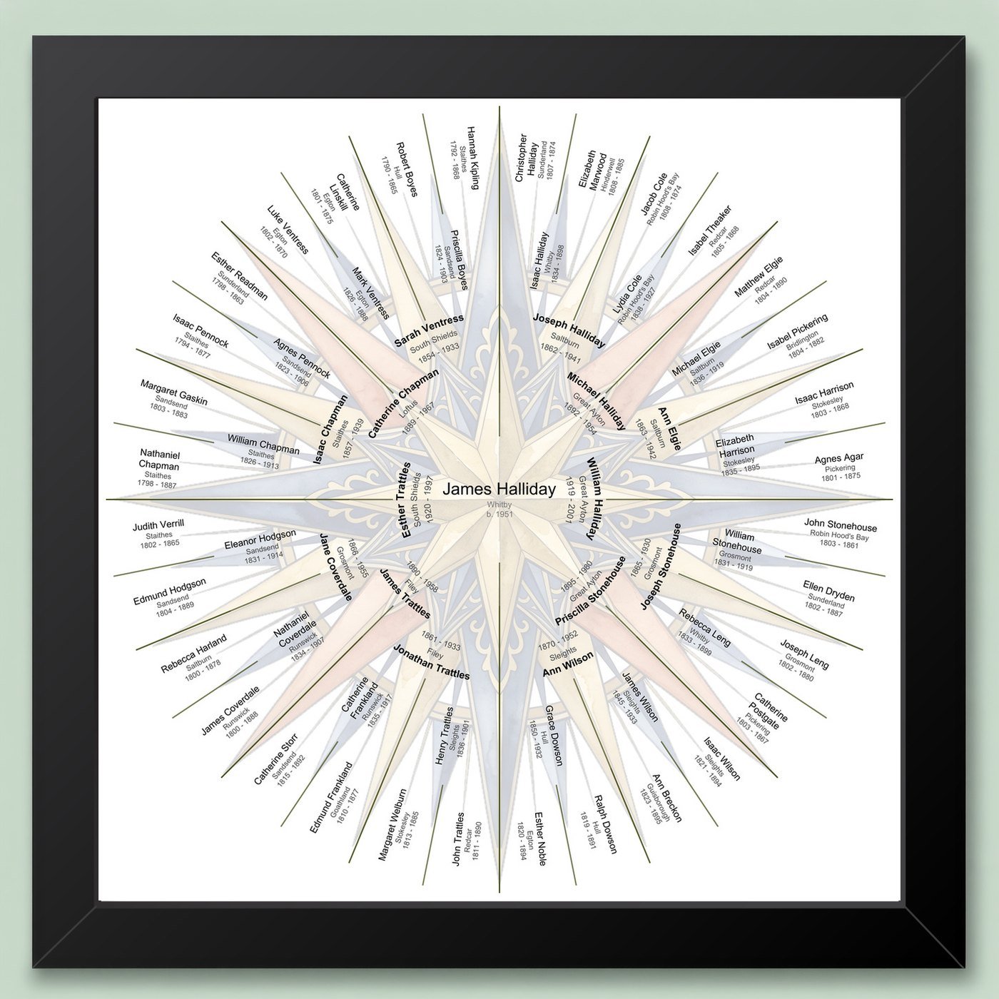 Black-framed six-generation circular family tree chart with a 32-point compass rose watercolour motif behind the names, on a pale green wall