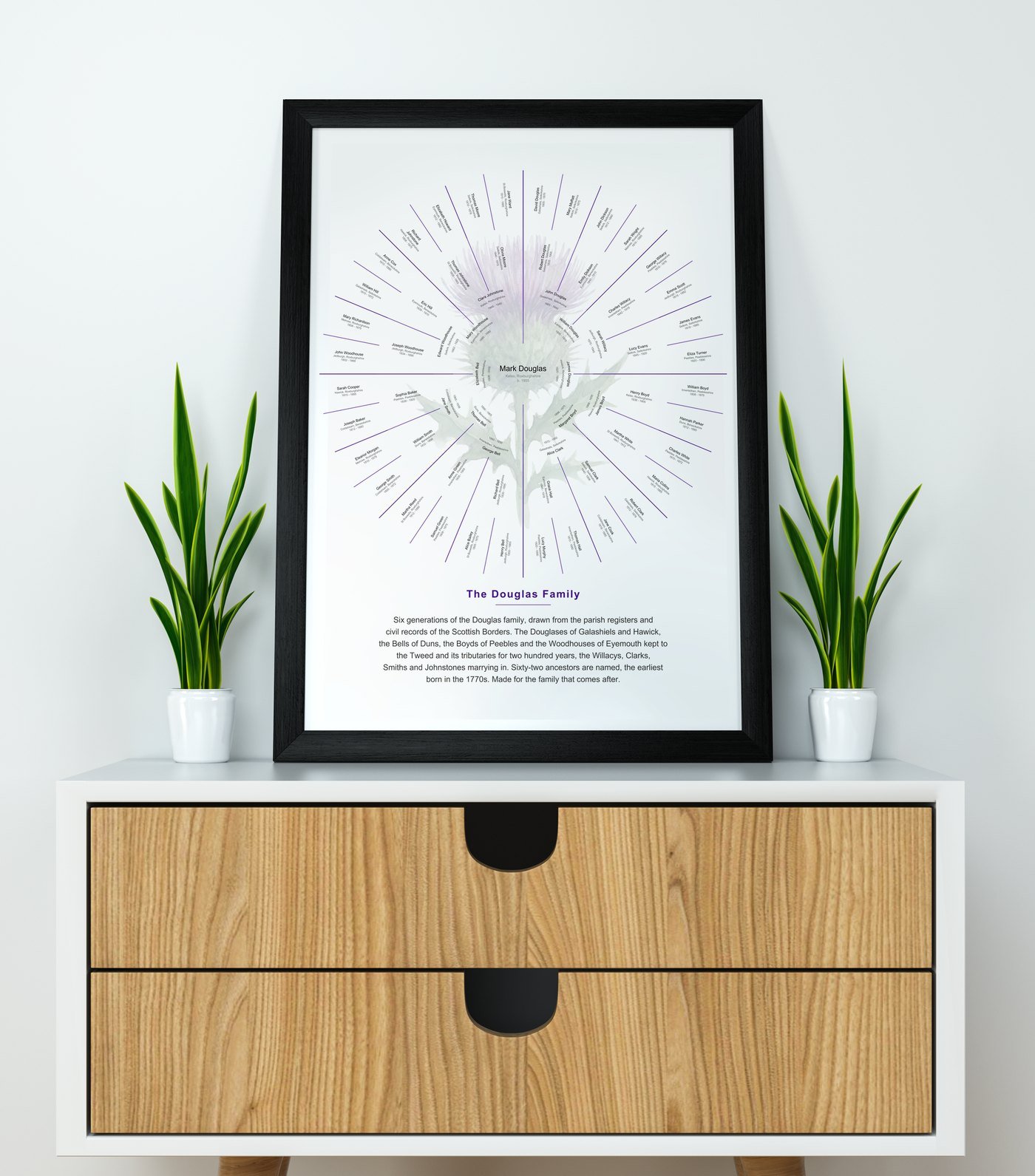 The captioned Douglas Family sample chart in a matte black wooden frame, 16 x 20 inches, standing on a white cabinet with oak drawers between two potted plants
