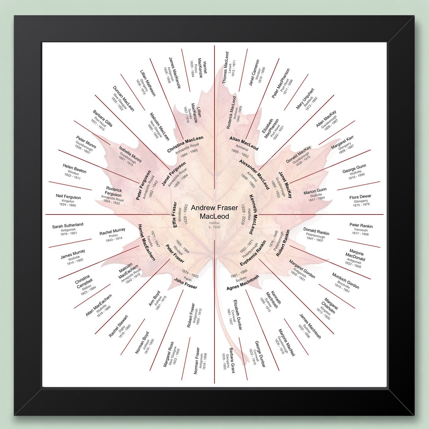 Black-framed six-generation circular family tree chart with a maple leaf watercolour motif behind the names, on a pale green wall