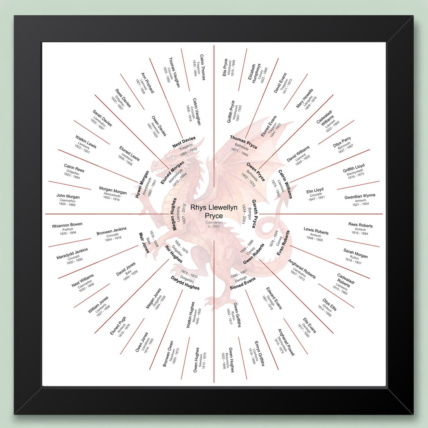 Black-framed six-generation circular family tree chart with a Welsh Dragon watercolour motif behind the names, on a pale green wall