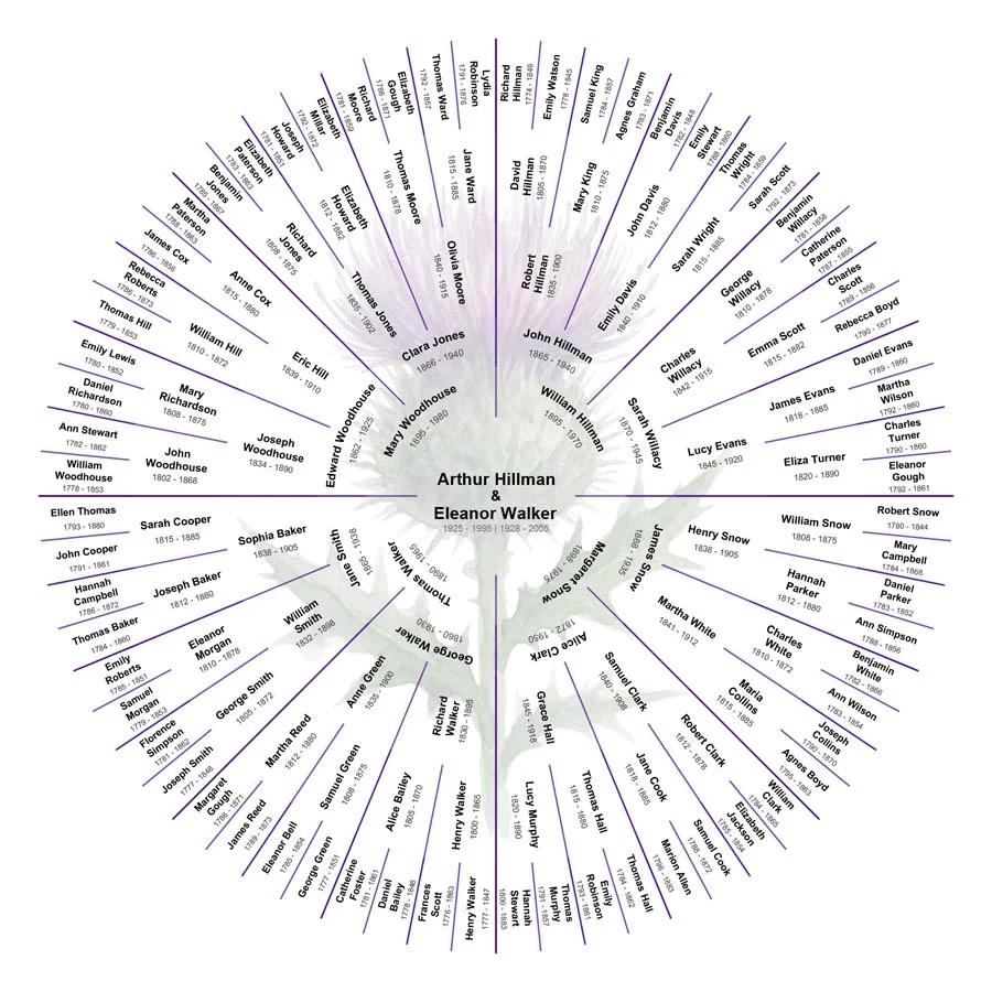 Dynamic preview of selected genealogy chart layout