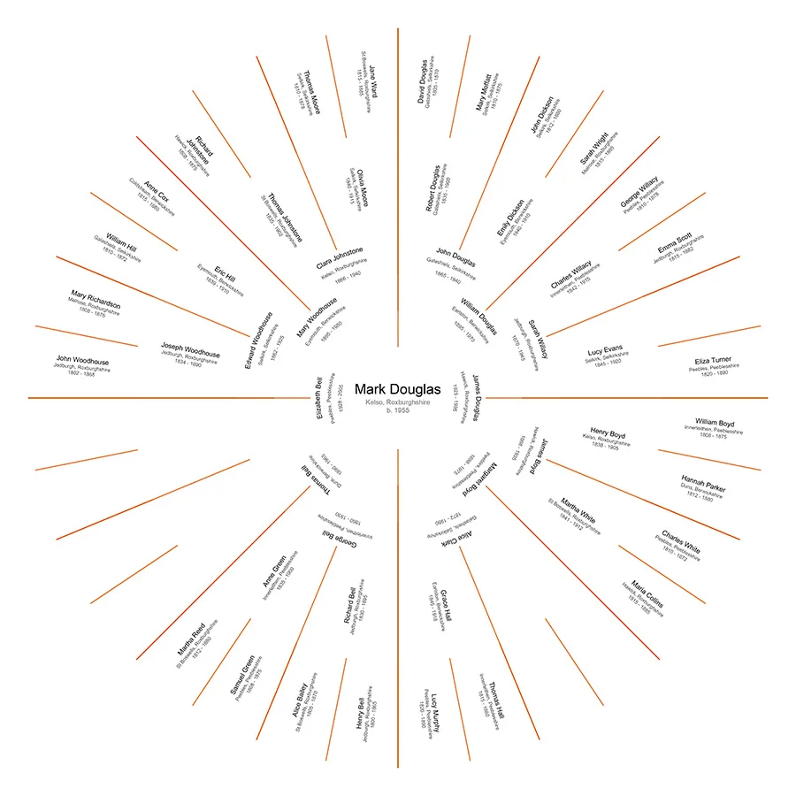 Partial Lineage - Individual