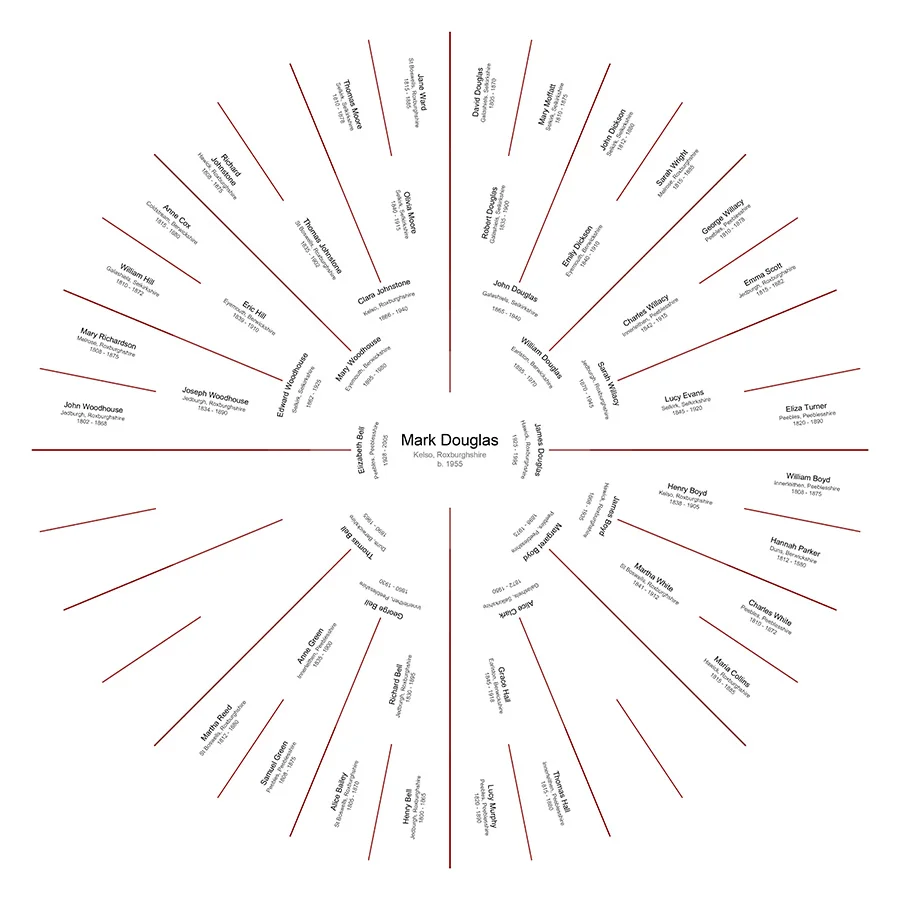 Partial Lineage - Individual