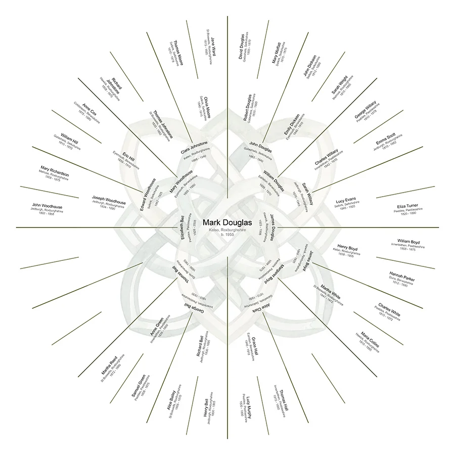 Partial Lineage - Individual