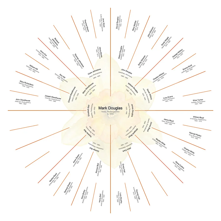 Partial Lineage - Individual