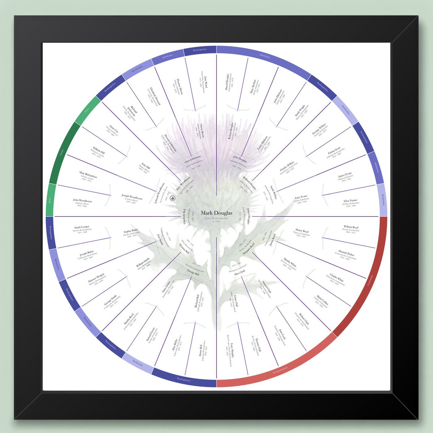 Origins Ring: Six-generation circular family tree chart with a county-coloured outer band, framed sample