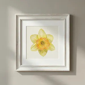 Watercolour Daffodil