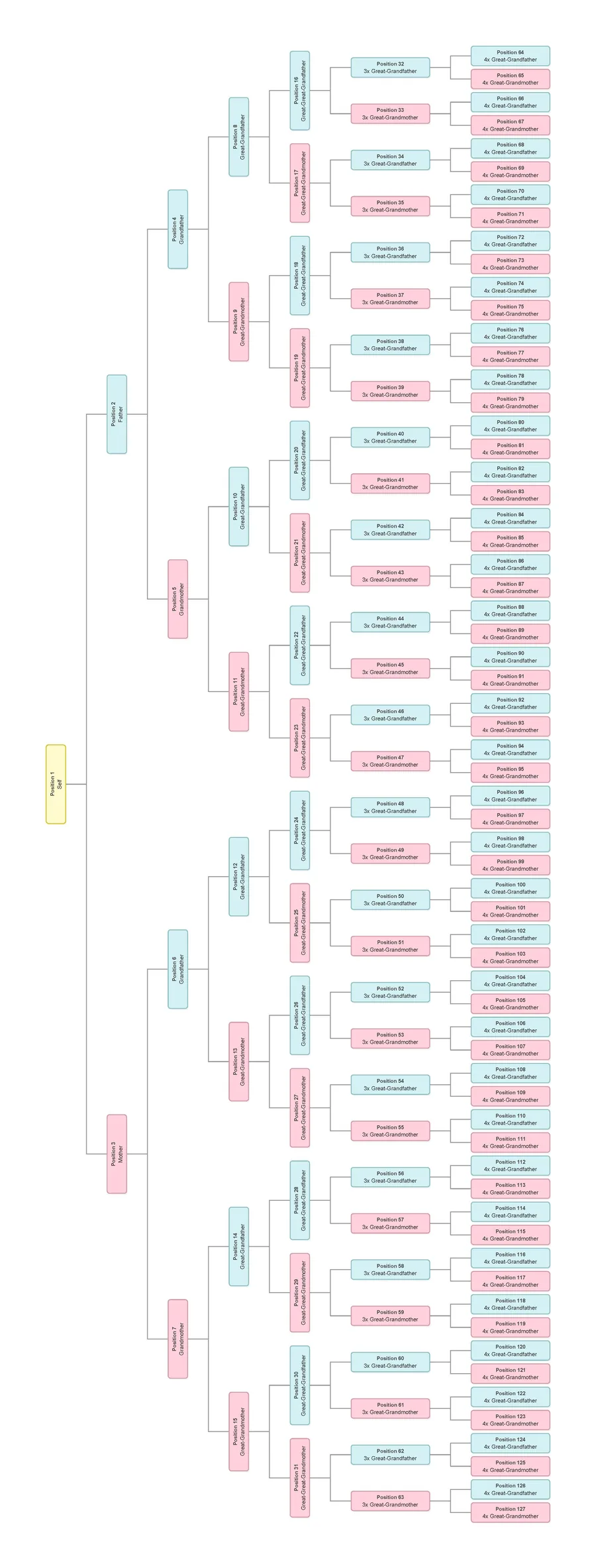 A vertical hierarchical family tree
